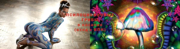 прущая мука Козловка