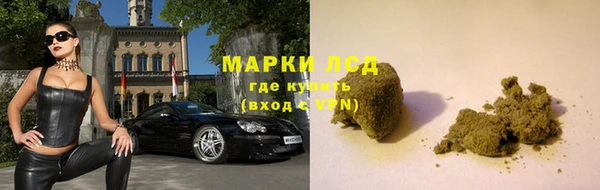 стафф Киренск