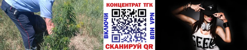 магазин продажи наркотиков  Киренск  ТГК вейп с тгк 