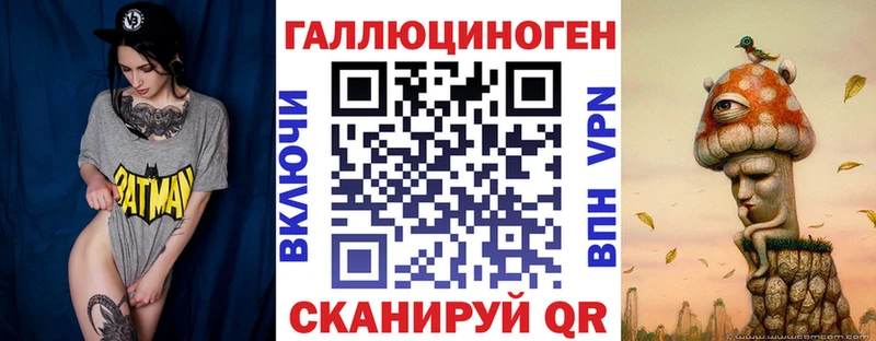 Псилоцибиновые грибы Psilocybine cubensis  Киренск 